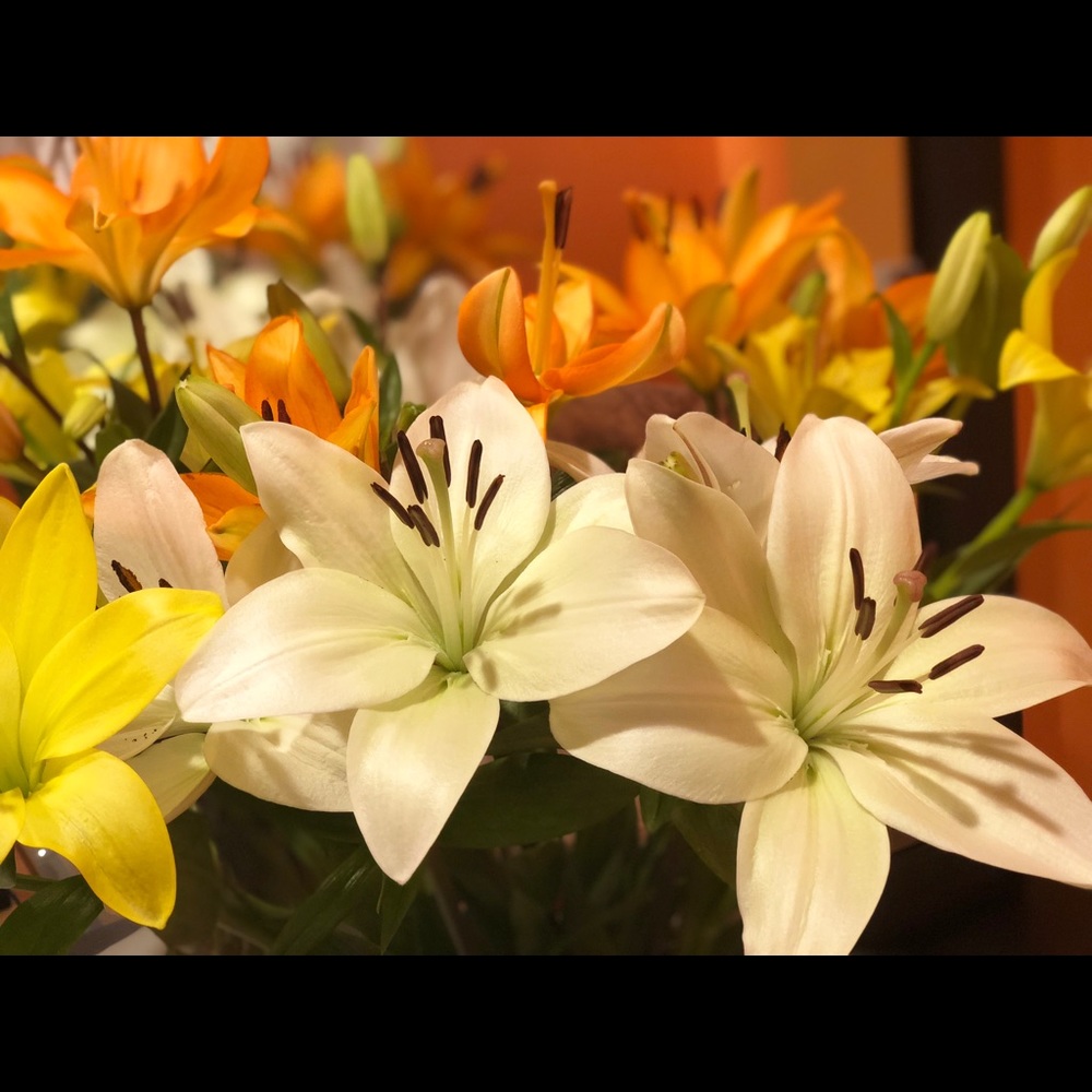 Meet your Posher, Oksana